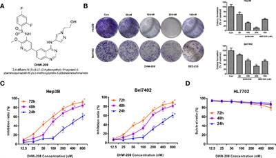 DHW-208, A Novel Phosphatidylinositol 3-Kinase (PI3K) Inhibitor, Has Anti-Hepatocellular Carcinoma Activity Through Promoting Apoptosis and Inhibiting Angiogenesis